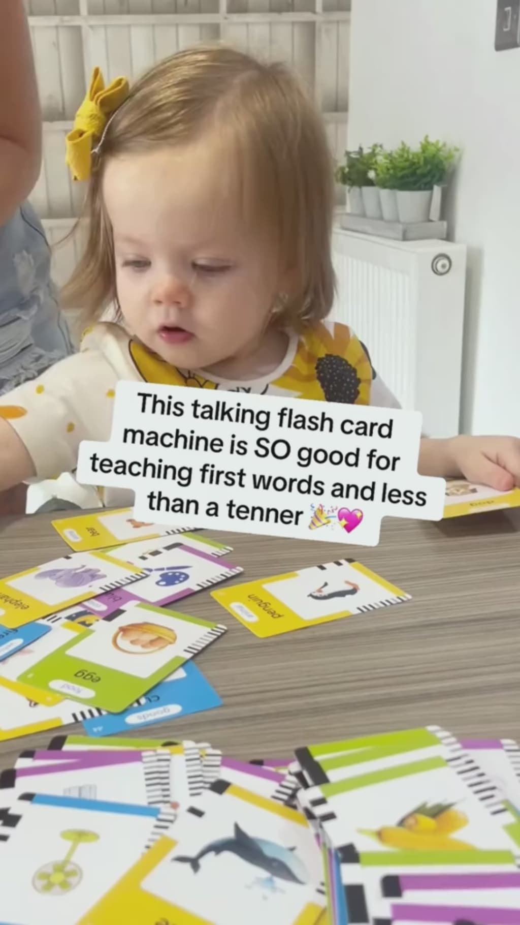 Montessori Talking Flashcards